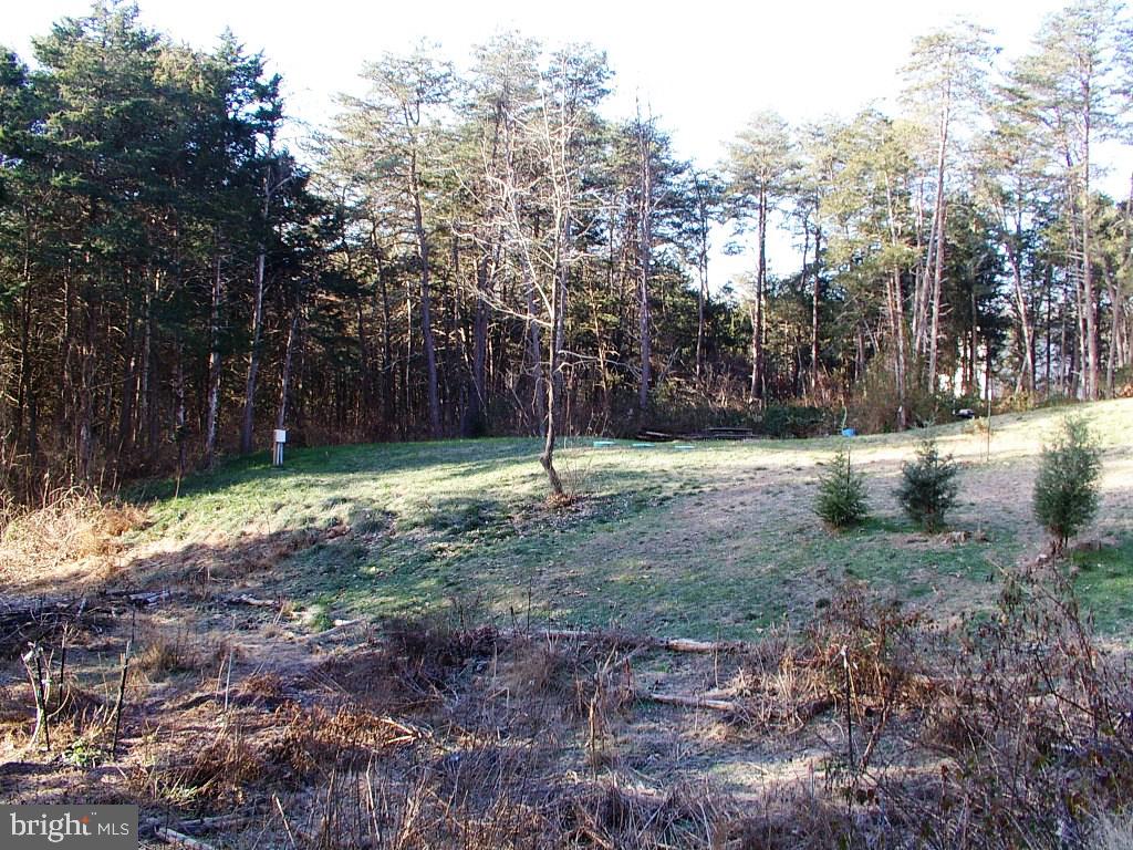 140 Guard Road Middletown, VA 22645 - Photo 71 of 87 Private Yard