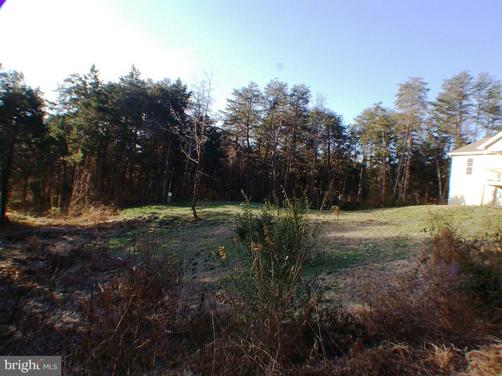 140 Guard Road Middletown, VA 22645 - Photo 72 of 87 Private Yard