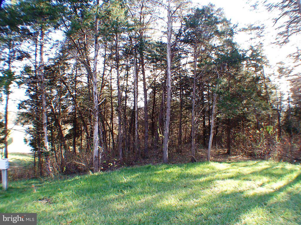140 Guard Road Middletown, VA 22645 - Photo 85 of 87 Private 1.36 acres Yard