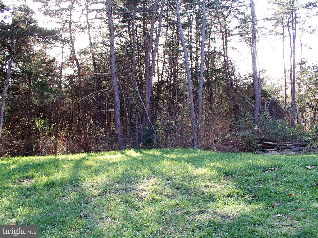 140 Guard Road Middletown, VA 22645 - Photo 86 of 87 Private 1.36 acres Yard