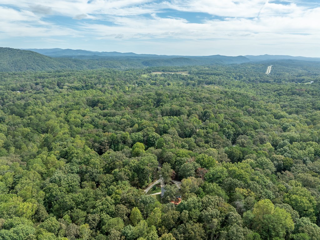 780 Timber Ridge Lane Ellijay, GA 30540 - Photo 51 of 58 Gallery Image 51
