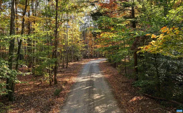 a view of a water fountain with large trees