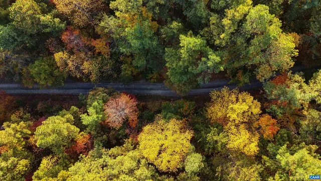 a view of a garden with a lake