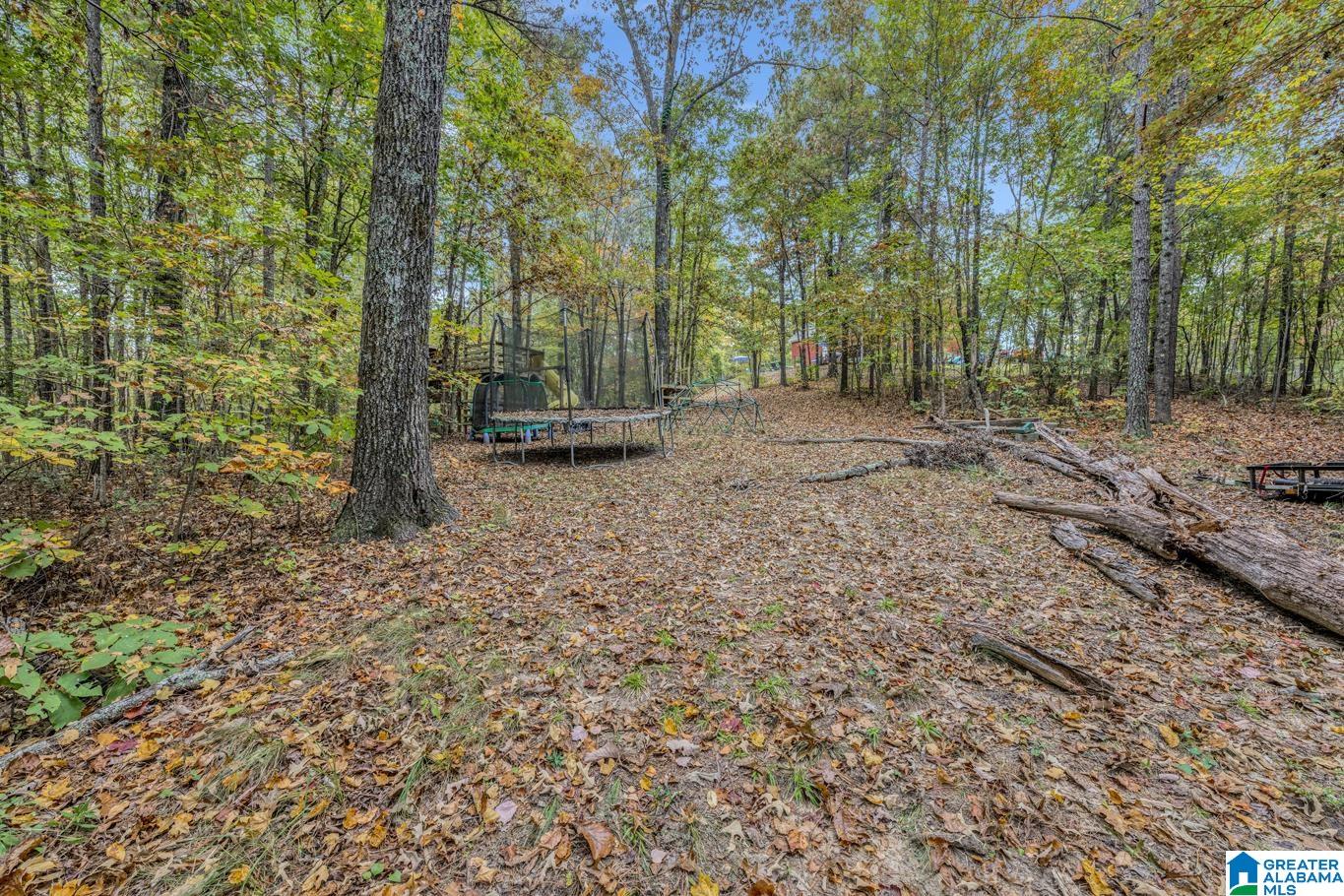 8831 Sharit Dairy Road Gardendale, AL 35071 - Photo 47 of 52