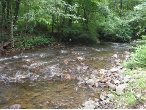 106 Stout Hollow Road Hampton, TN 37658 - Photo 8 of 8 Photo 8