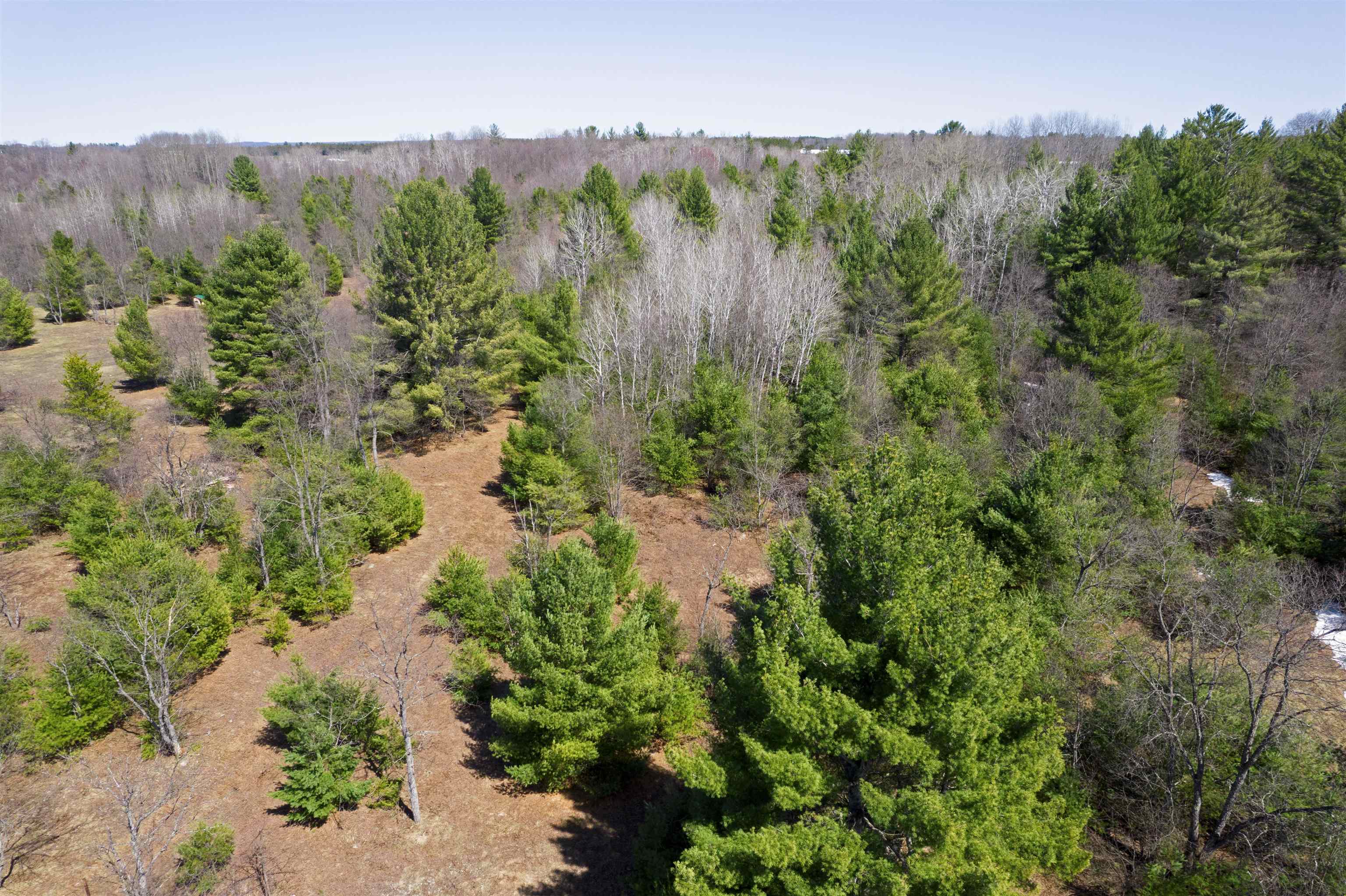 8324 Besaw Road Northeast Mancelona, MI 49659 - Photo 8 of 24 1932813-334d02bc-f915-4a4b-94bd-a5610837c98c.JPG