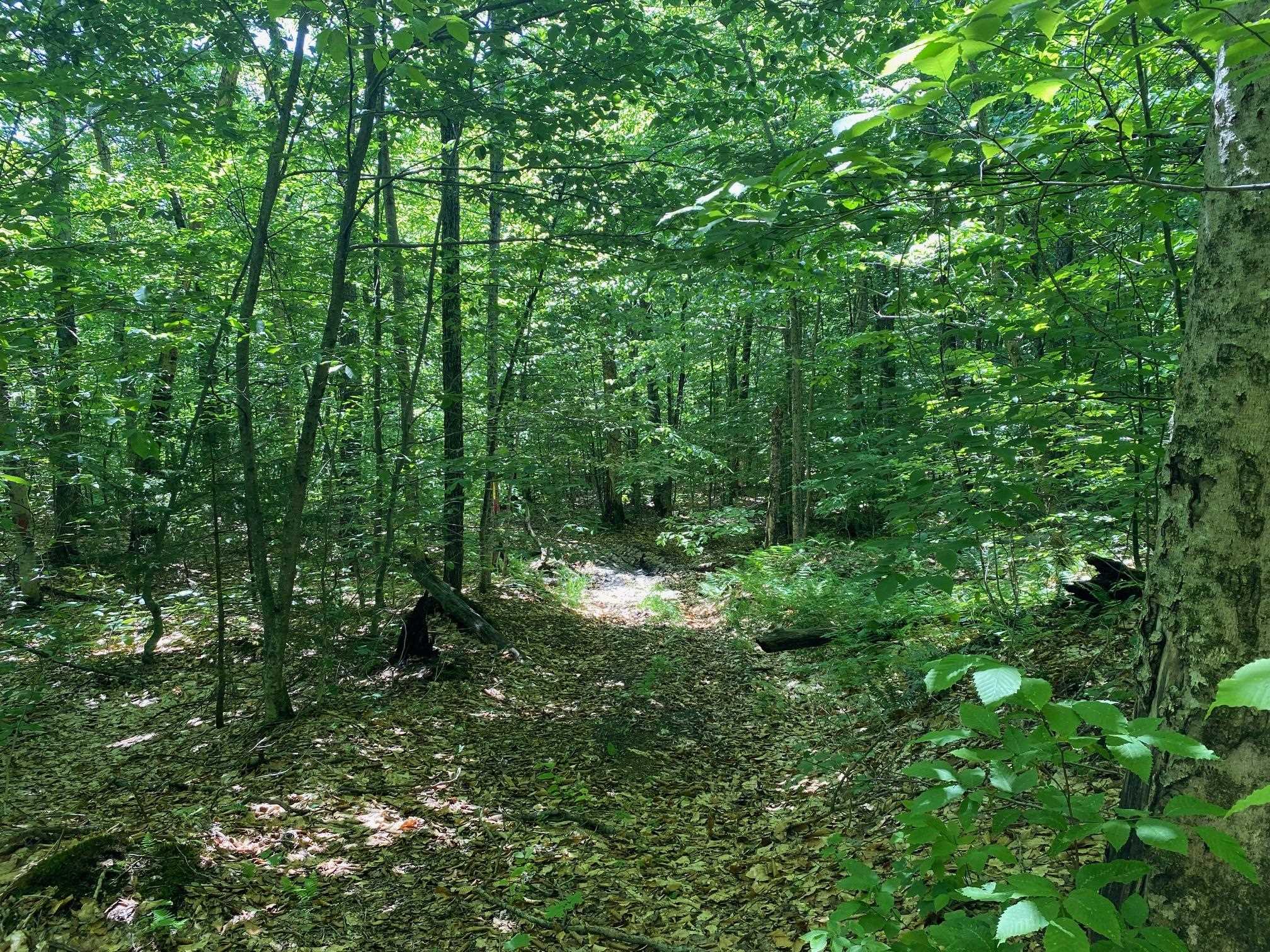 0 Herring Brook Road Moretown, VT 05660 - Photo 11 of 12