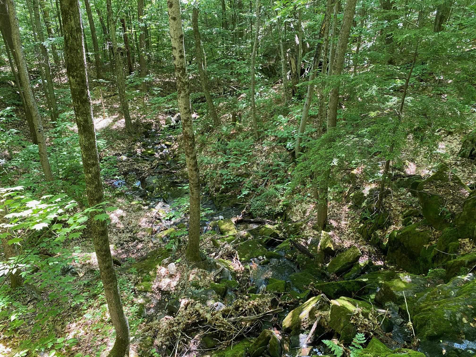 0 Herring Brook Road Moretown, VT 05660 - Photo 12 of 12