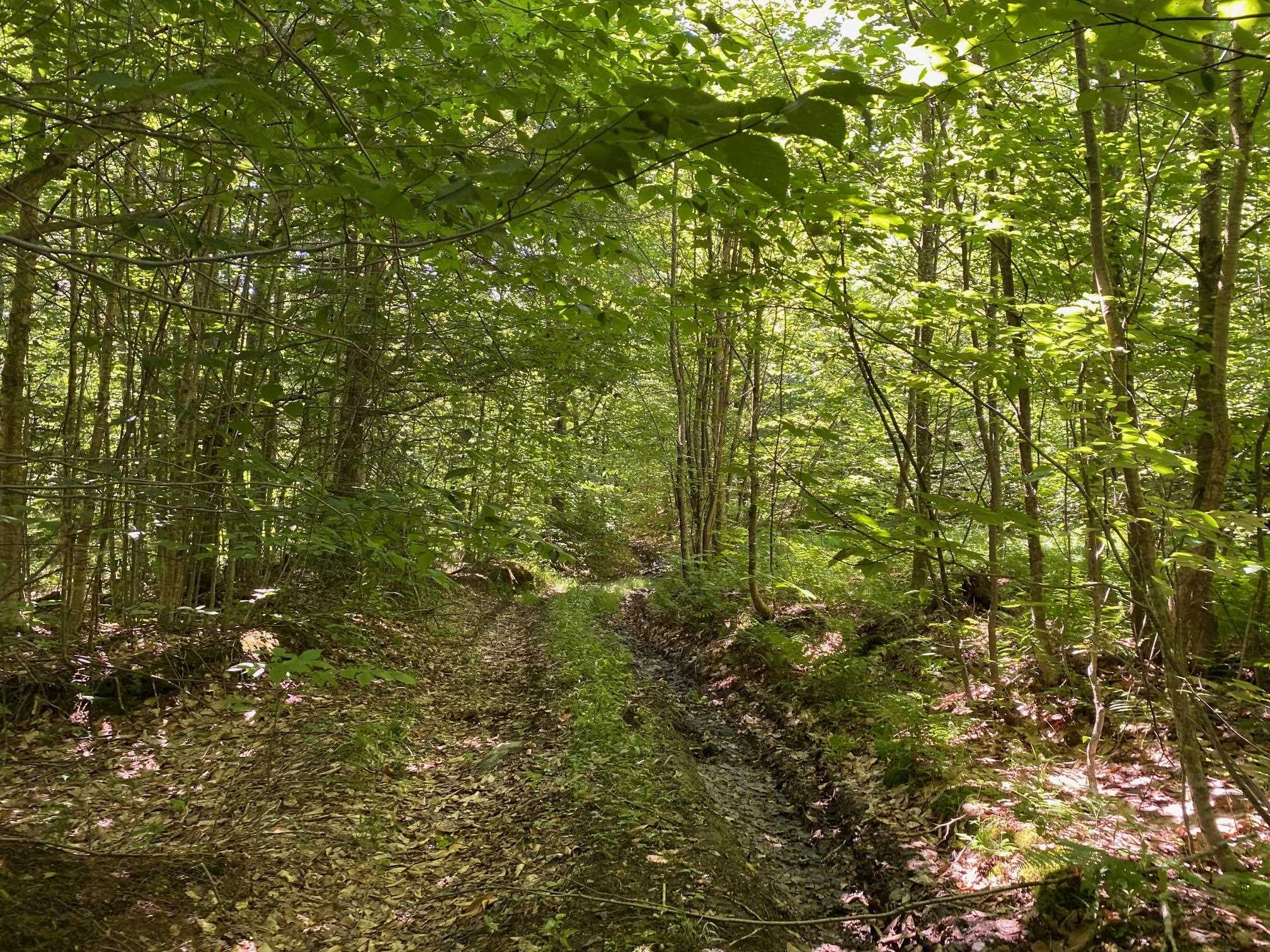 0 Herring Brook Road Moretown, VT 05660 - Photo 3 of 12