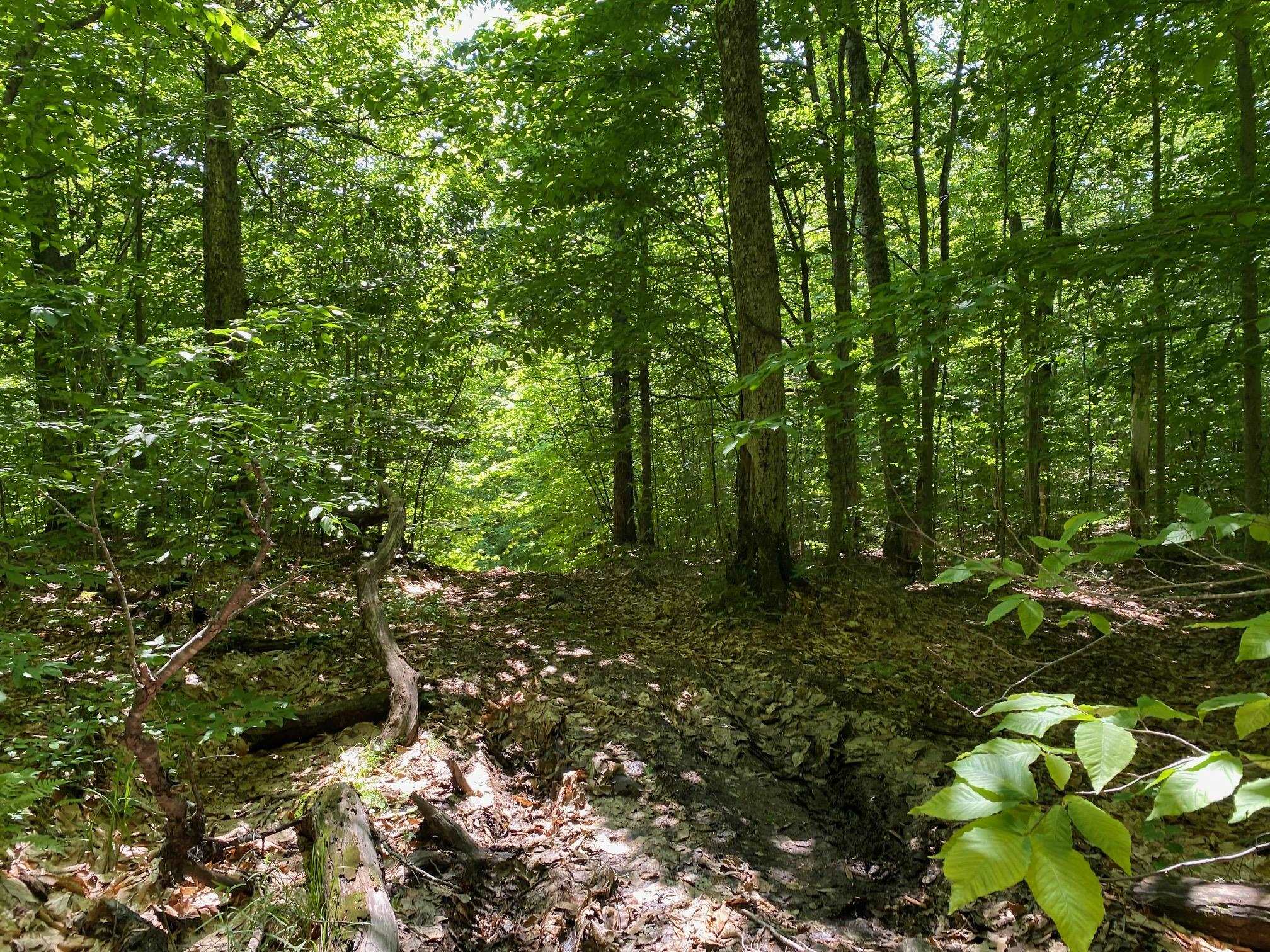 0 Herring Brook Road Moretown, VT 05660 - Photo 4 of 12