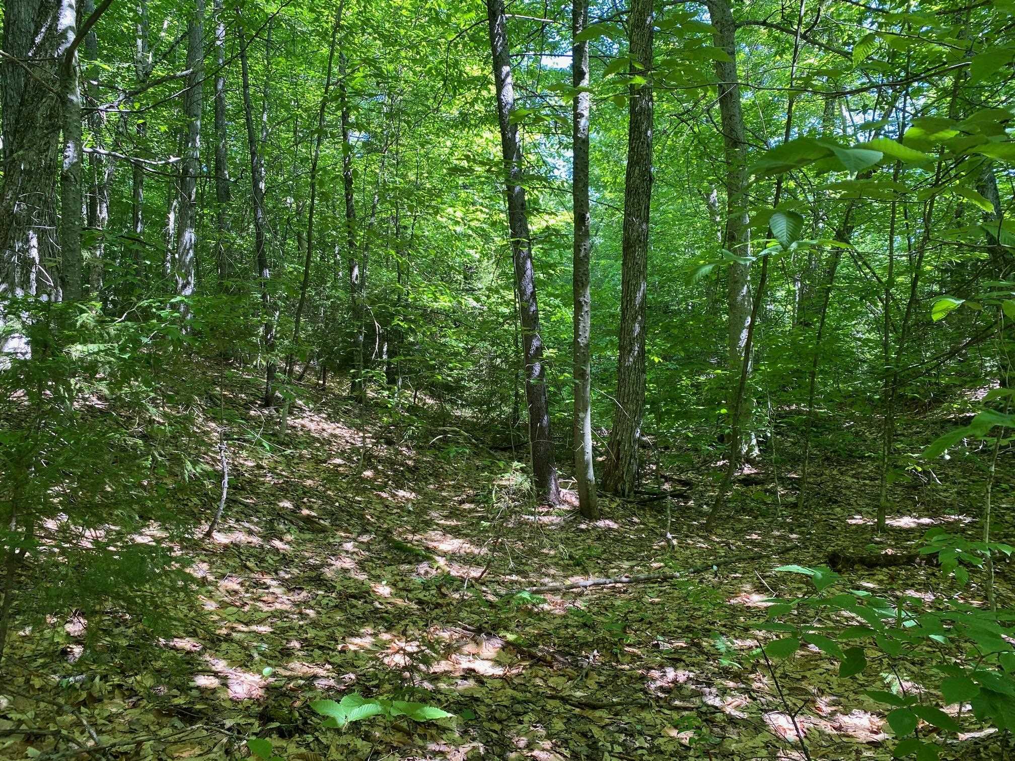 0 Herring Brook Road Moretown, VT 05660 - Photo 5 of 12