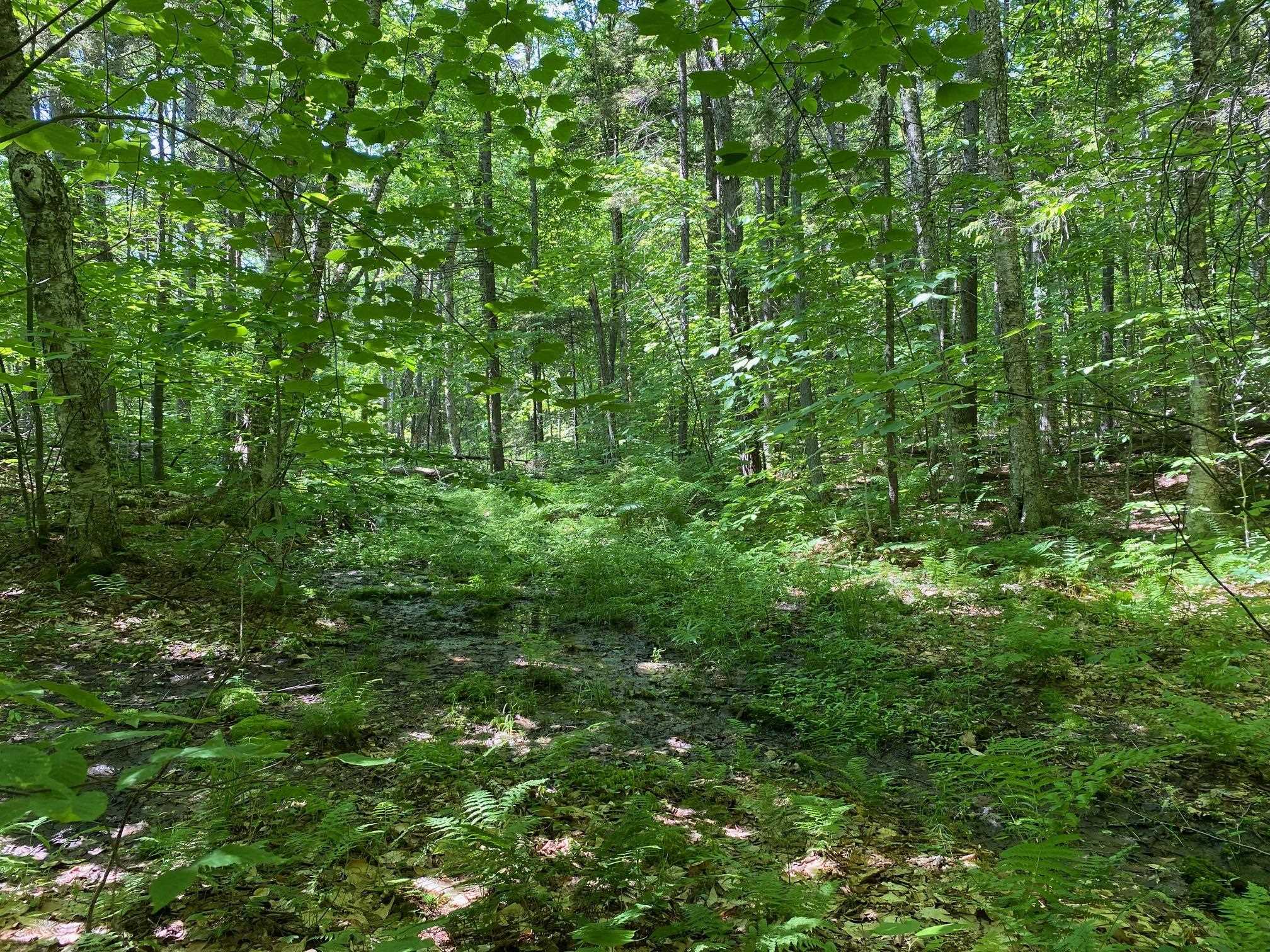 0 Herring Brook Road Moretown, VT 05660 - Photo 7 of 12
