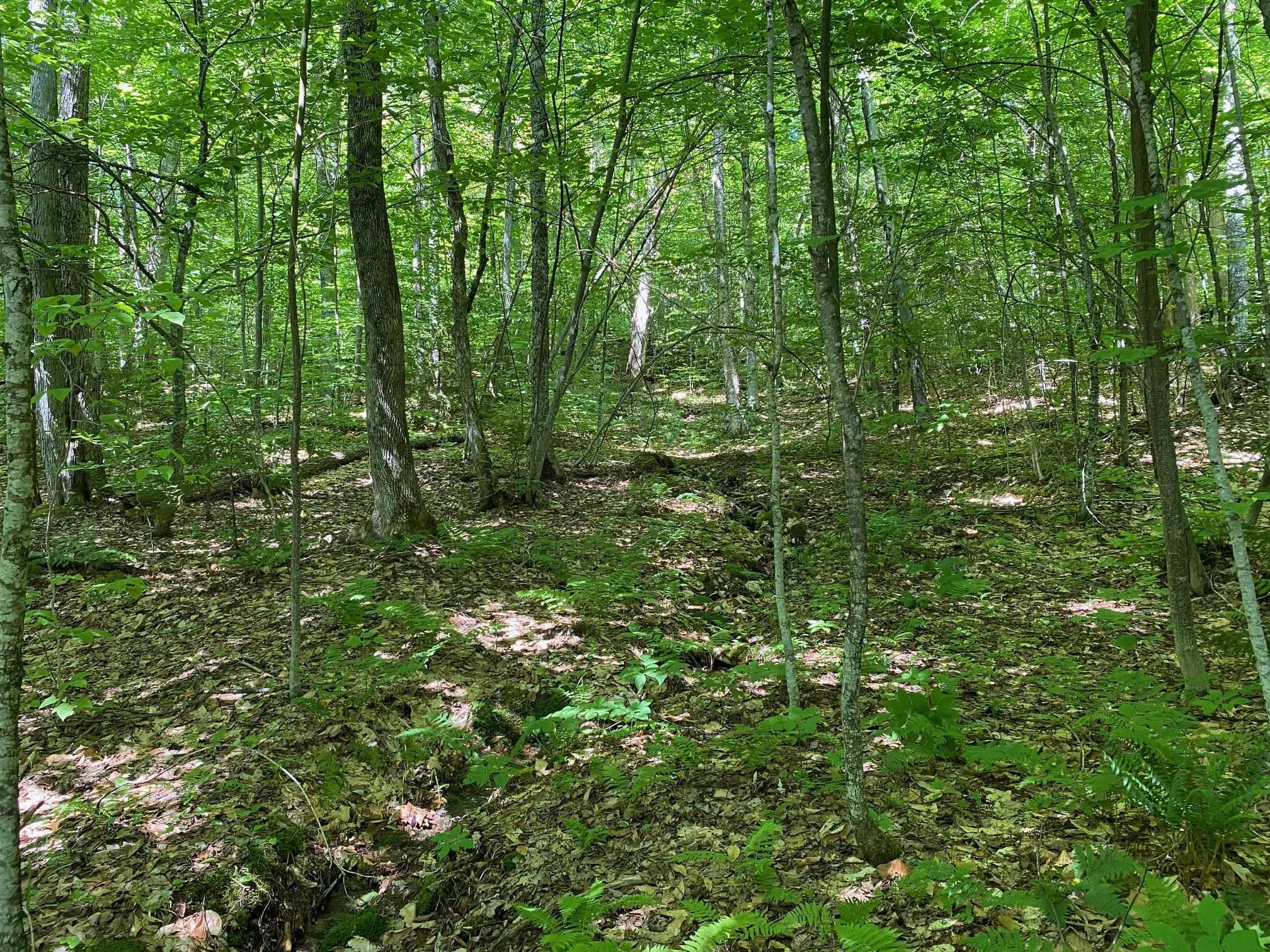 0 Herring Brook Road Moretown, VT 05660 - Photo 9 of 12