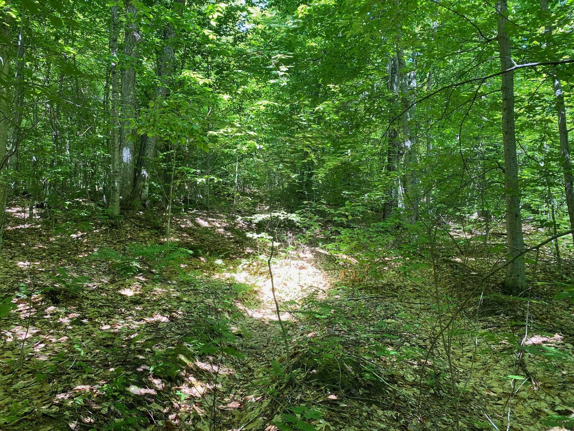 0 Herring Brook Road Moretown, VT 05660 - Photo 10 of 12