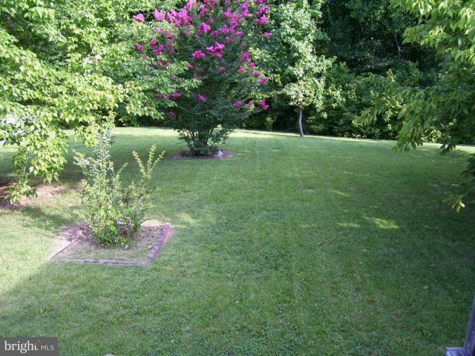 82 Yew Road Essex, MD 21221 - Photo 22 of 30 Deck - View from