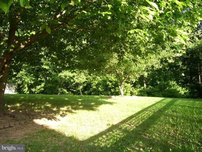 82 Yew Road Essex, MD 21221 - Photo 29 of 30 Wooded View / Acreage