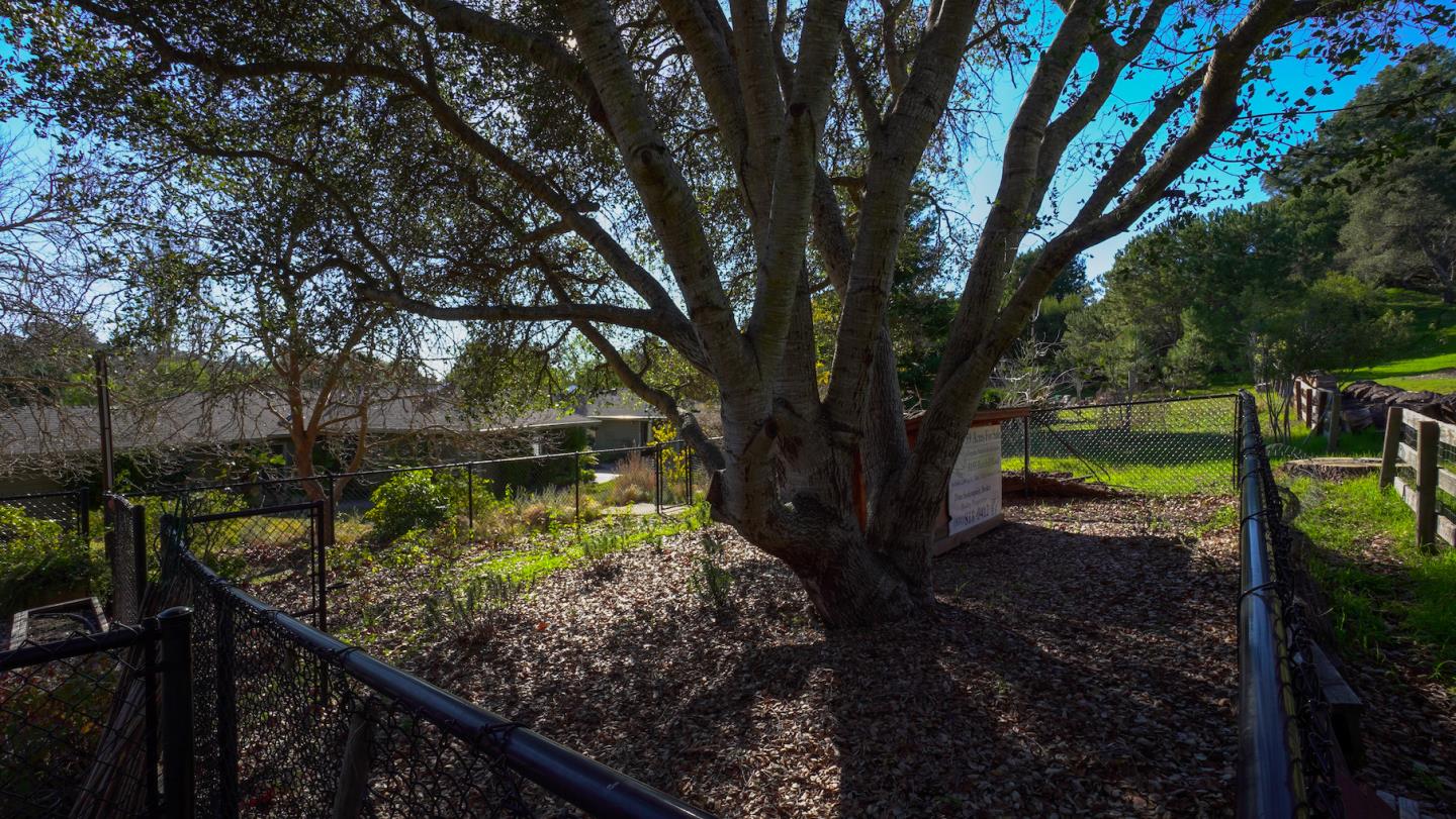 425 Meadow Road Aptos, CA 95003 - Photo 48 of 72 Gallery Image 48