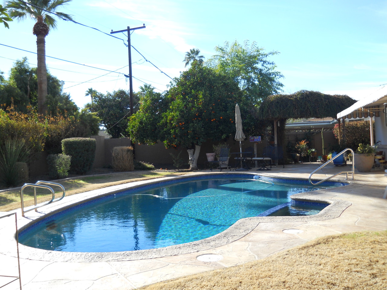 405 East Griswold Road Phoenix, AZ 85020 - Photo 7 of 12 Pool/Backyard