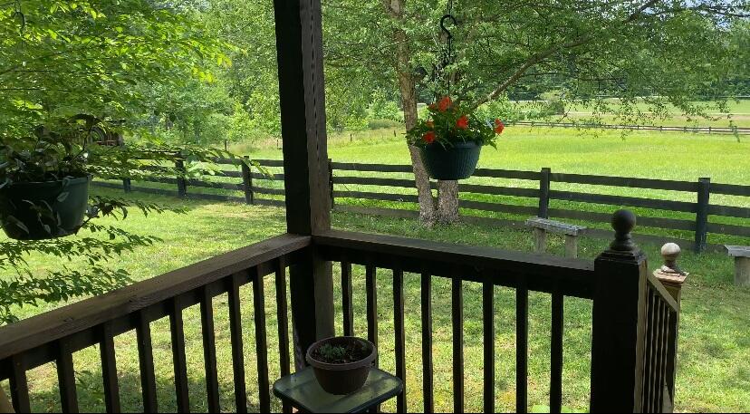 195 Terri Draper Road Frenchburg, KY 40322 - Photo 45 of 48 Farm Pic 17