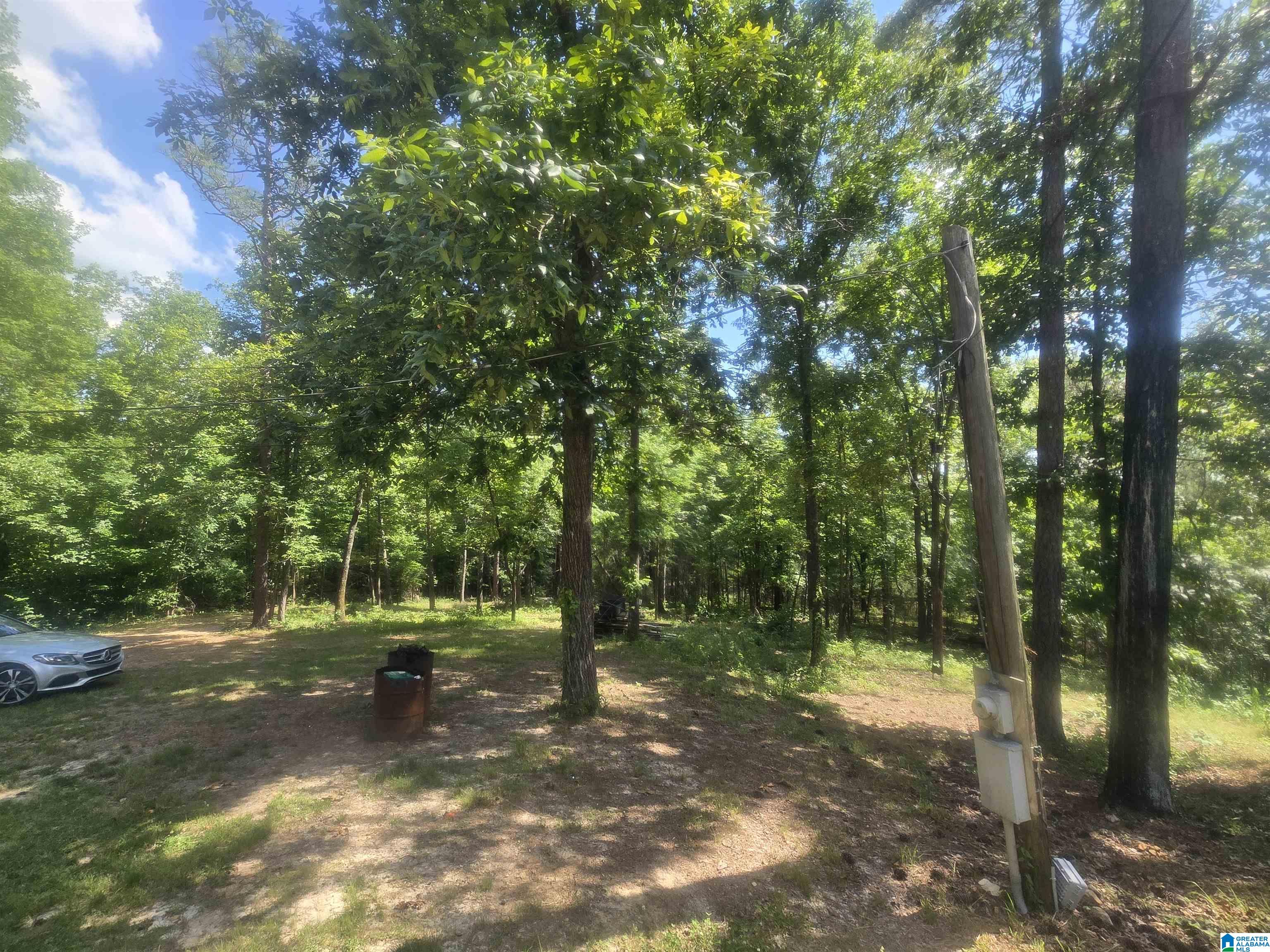 135 Big Chef Road Ohatchee, AL 36271 - Photo 27 of 27