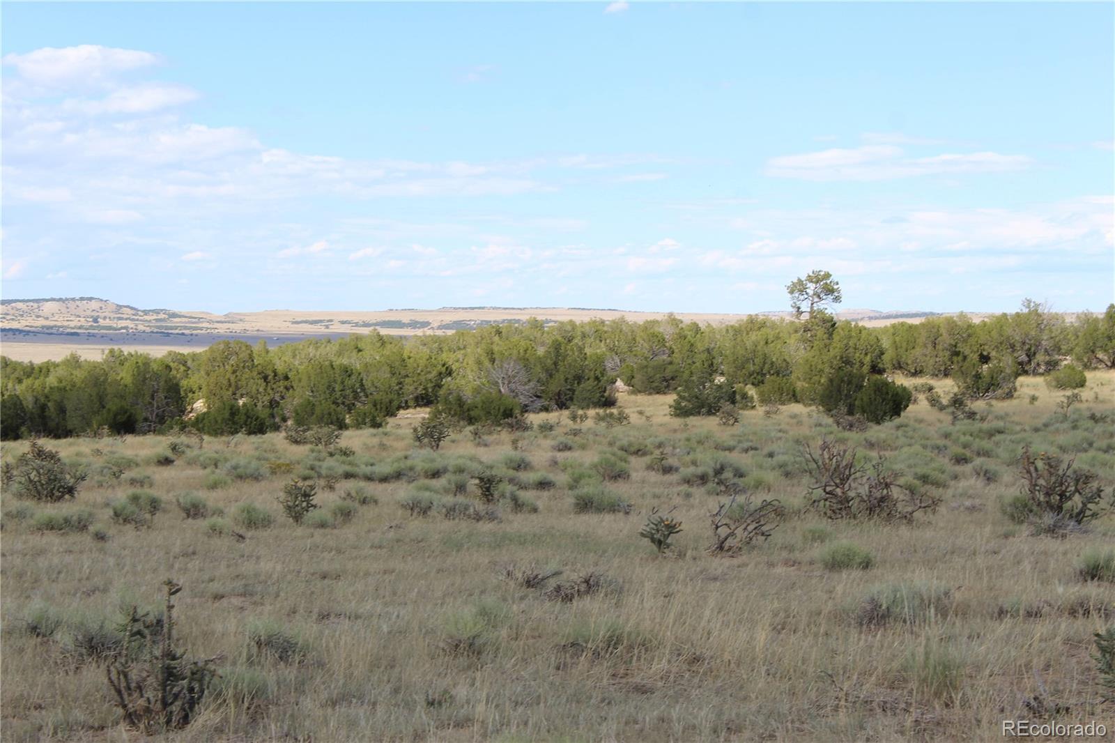 Ridge Road West Rye, CO 81069 - Photo 16 of 30 a view of a dry space with lots of trees