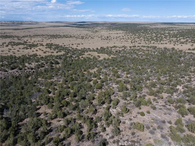 a view of city and ocean