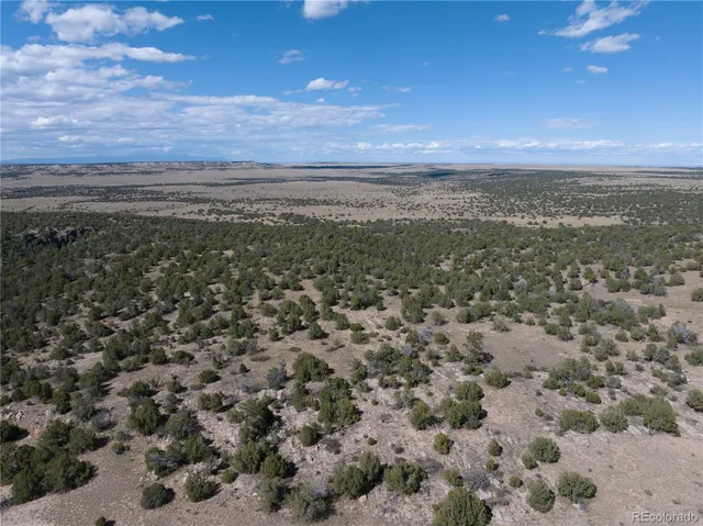 a view of beach and ocean