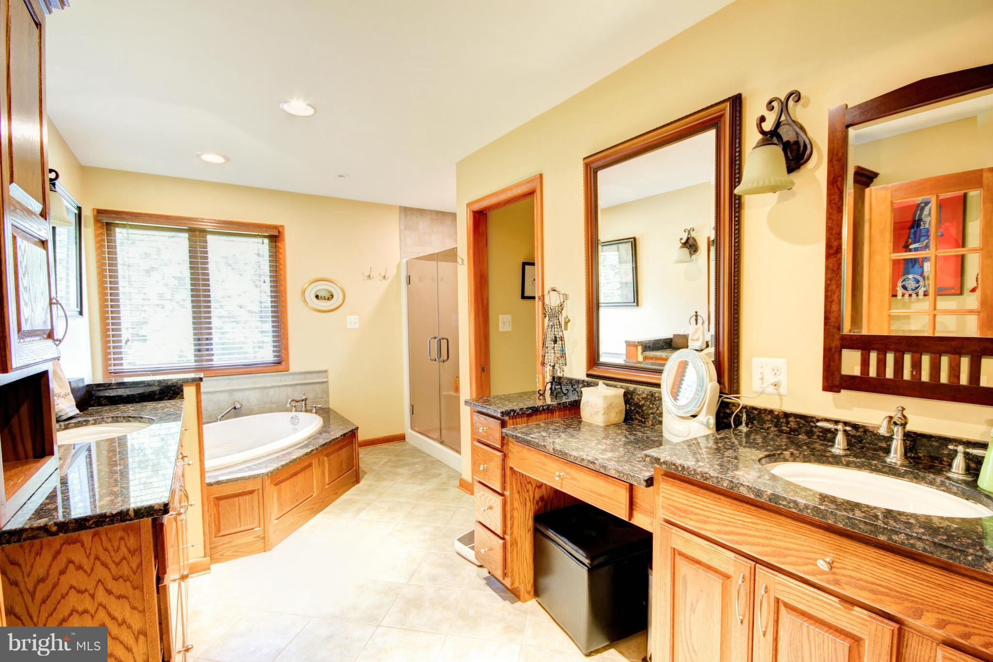 5340 Wendy Road Sykesville, MD 21784 - Photo 10 of 30 2 sep vanities, soaking tub, sep shower, granite