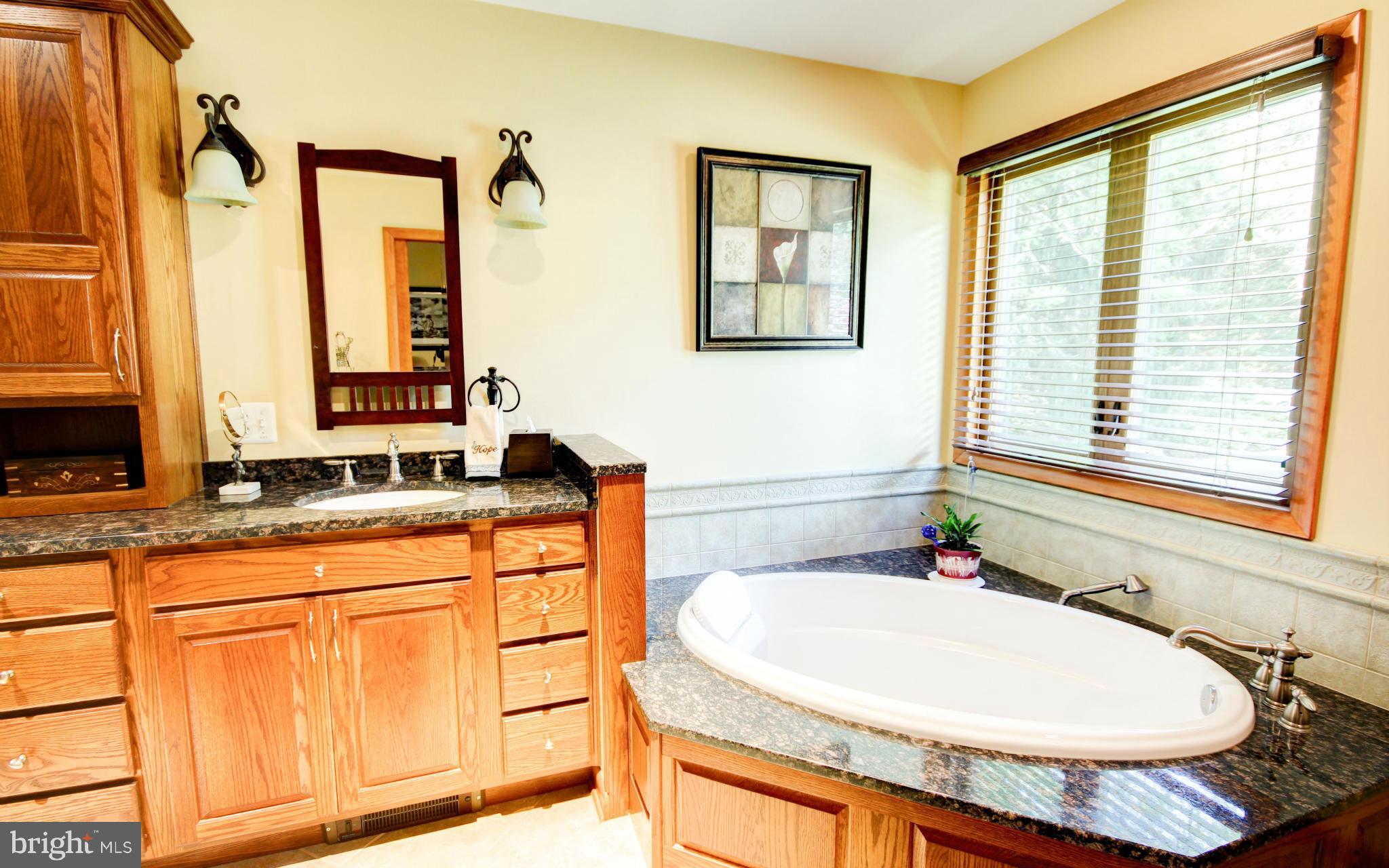 5340 Wendy Road Sykesville, MD 21784 - Photo 11 of 30 soaking tub, custom bath design