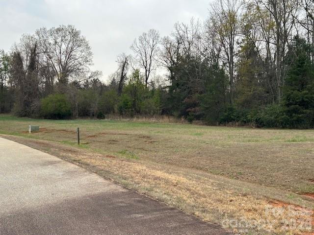 0 Palms Way Forest City, NC 28043 - Photo 19 of 22 a view of a backyard