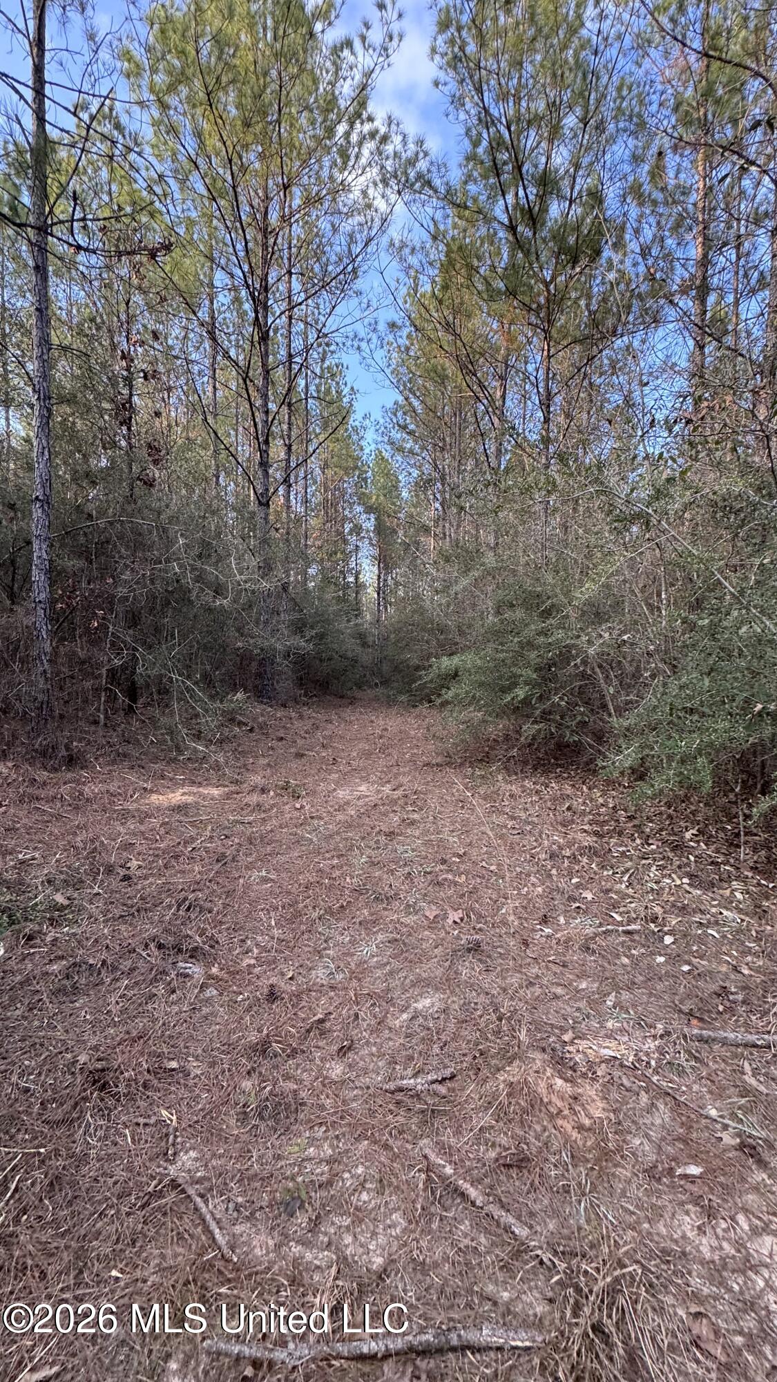 42 Mississippi State Line, MS 39362 - Photo 25 of 87 Photo Feb 13 2026, 4 36 36 PM