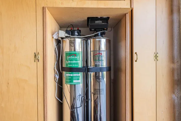 a view of a yard with plants and large trees