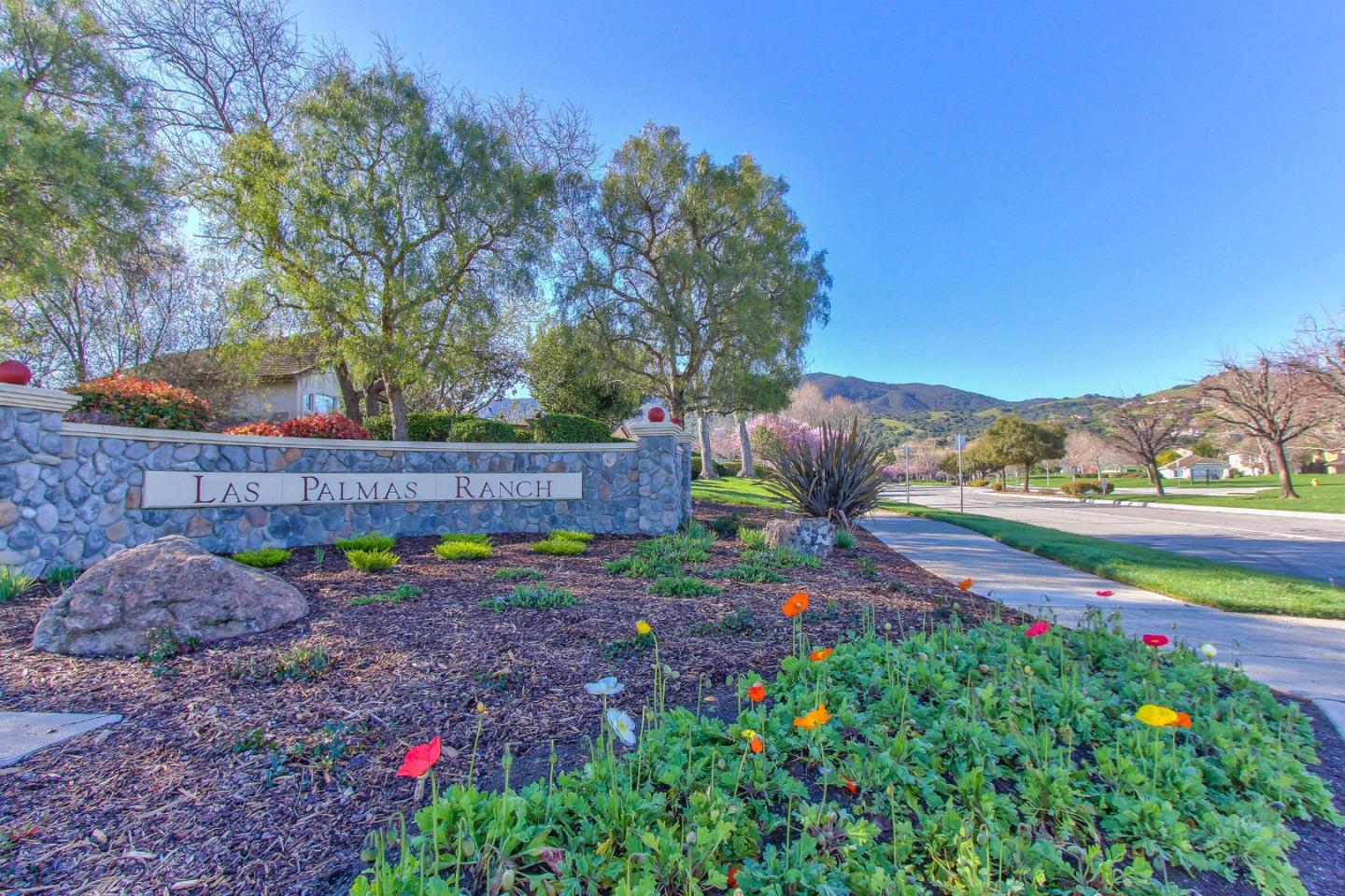 25215 Azalea Court Salinas, CA 93908 - Photo 47 of 48 a view of a yard with plants and large trees