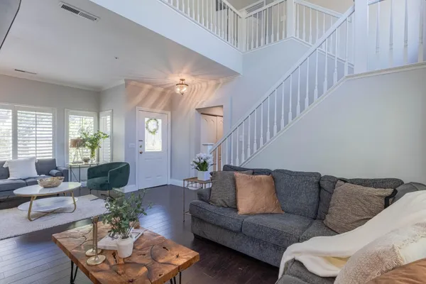 a living room with furniture or couch and a potted plant