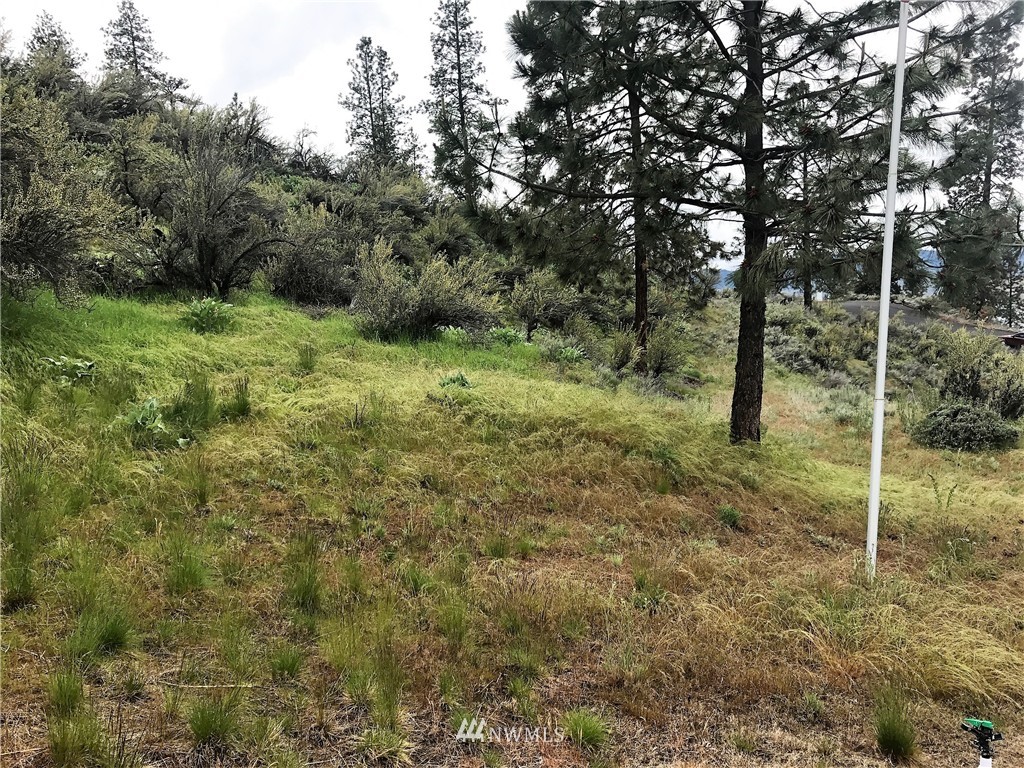 16540 Whitelaw Road East Wilbur, WA 99185 - Photo 12 of 13 Gallery Image 12