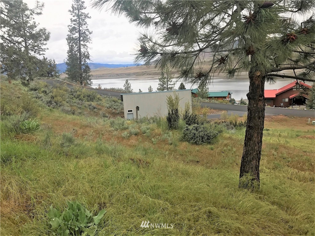 16540 Whitelaw Road East Wilbur, WA 99185 - Photo 4 of 13 Gallery Image 4