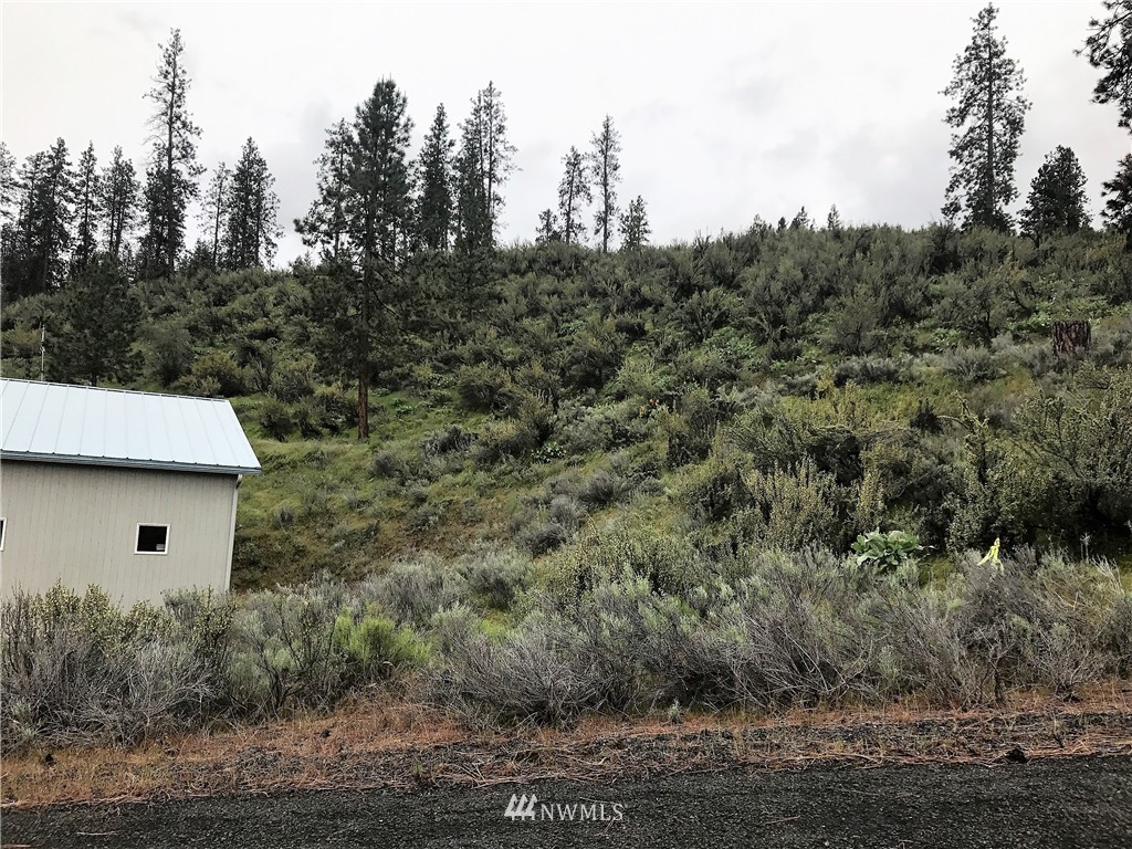 16540 Whitelaw Road East Wilbur, WA 99185 - Photo 9 of 13 Gallery Image 9