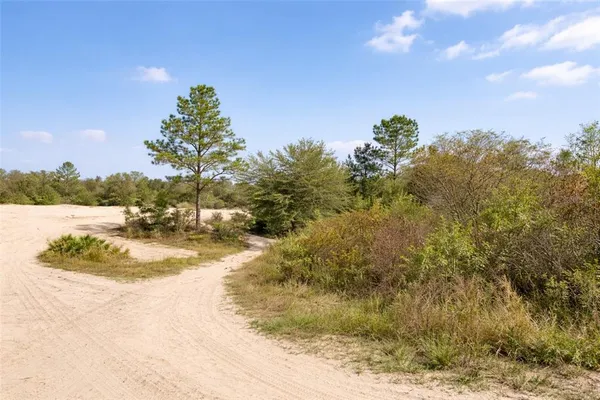 $22,020 | 0 Coral Rock Drive, Webster, FL 33597