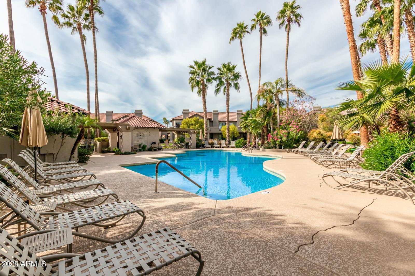 10015 East Mountain View Road, Unit 2017 Scottsdale, AZ 85258 - Photo 39 of 45 a view of a swimming pool with a chair and palm trees