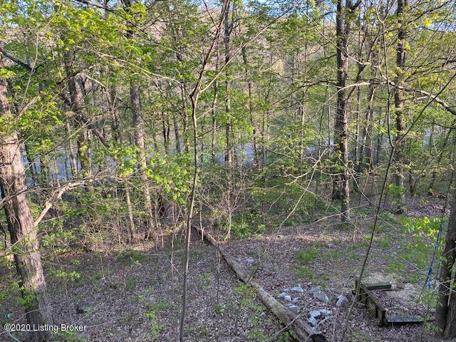 515 Mallard Pointe Road Clarkson, KY 42726 - Photo 25 of 28 IMG_9554