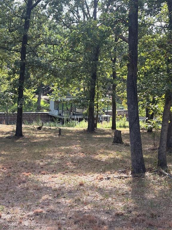 124 Point La Vista Road Malakoff, TX 75148 - Photo 3 of 5 Gallery Image 3