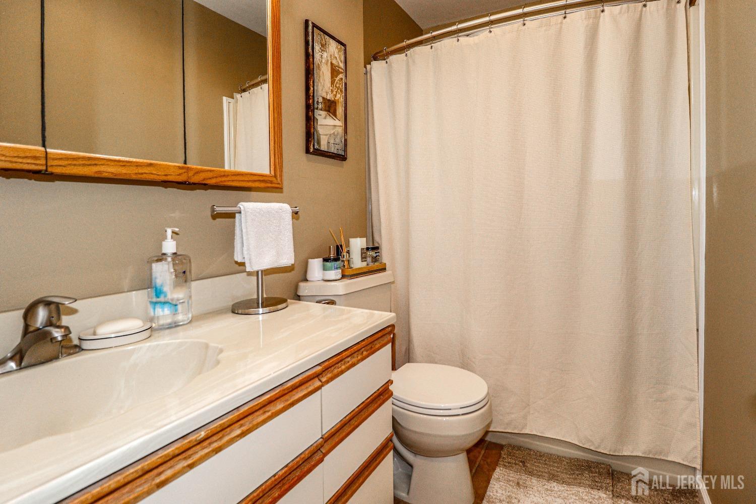 161 Devon Road Colonia, NJ 07067 - Photo 27 of 34 a bathroom with a sink a toilet and shower curtain
