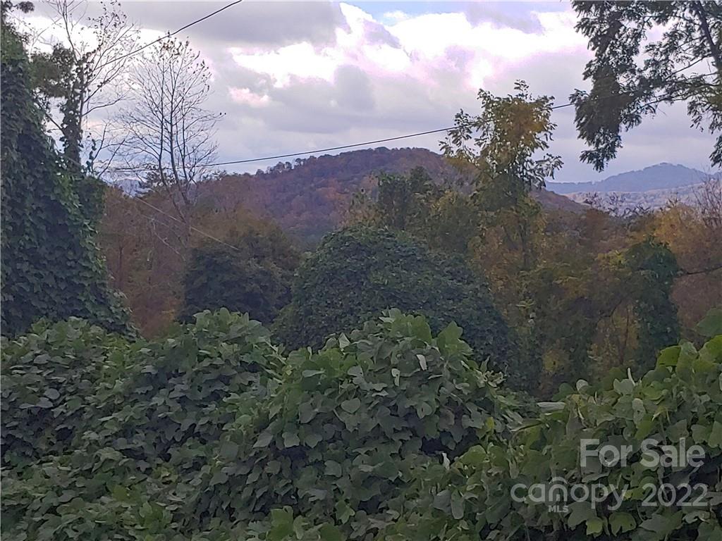 144 Walnut Cove Road Swannanoa, NC 28778 - Photo 3 of 6 Gallery Image 3