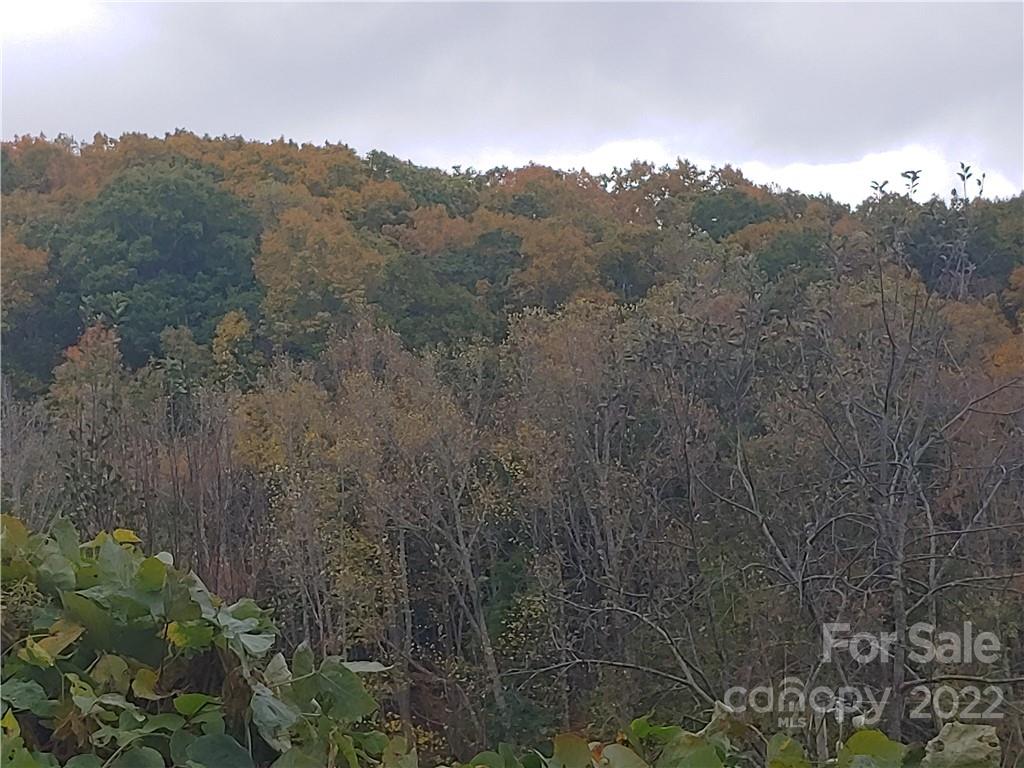 144 Walnut Cove Road Swannanoa, NC 28778 - Photo 4 of 6 Gallery Image 4