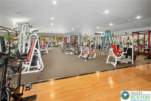 a view of backyard with plants and garden