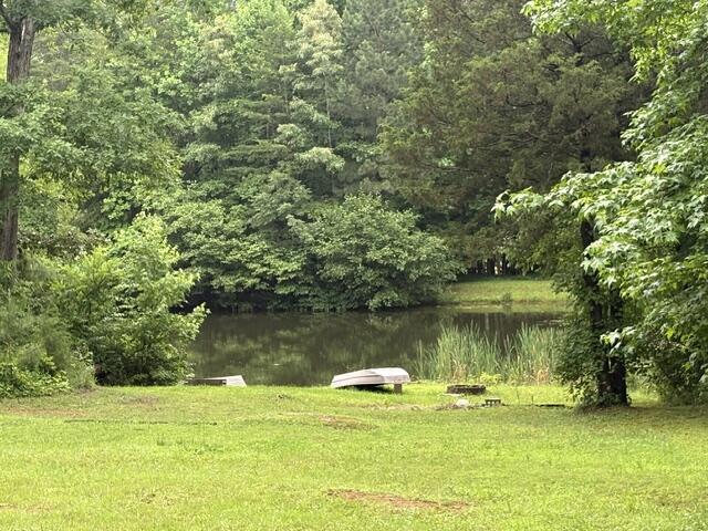 844 Grove Road Benton, TN 37307 - Photo 23 of 31 844 Grove - pond - IMG_8301