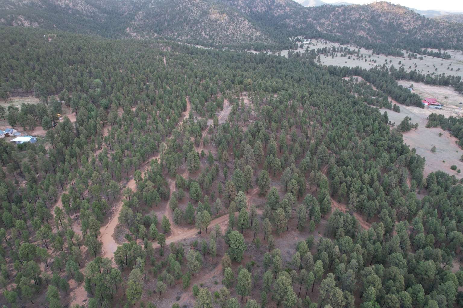 0 A015 County Road Mora, NM 87732 - Photo 39 of 40