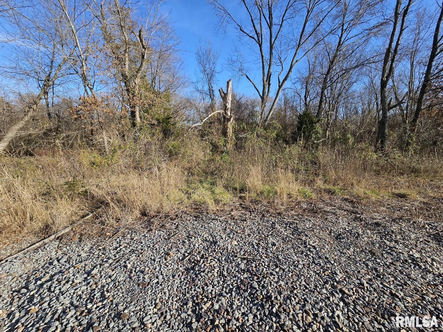 0 North Il Highway Bonnie, IL 62816 - Photo 2 of 7