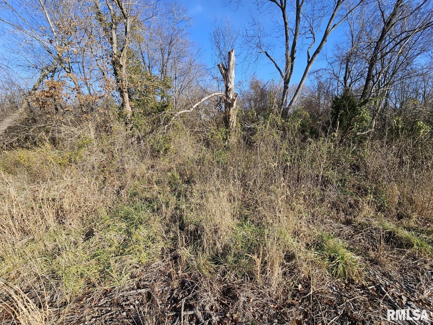 0 North Il Highway Bonnie, IL 62816 - Photo 3 of 7