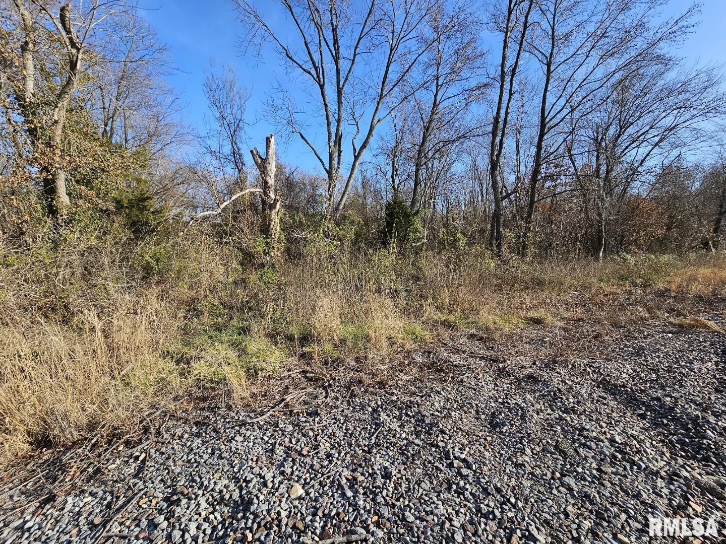 0 North Il Highway Bonnie, IL 62816 - Photo 4 of 7